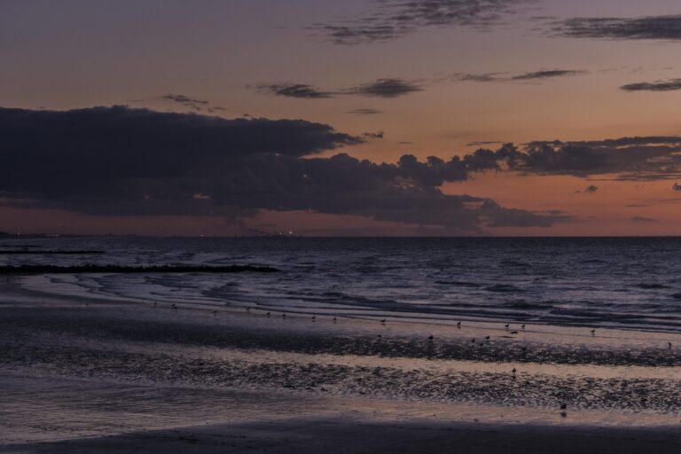 Lutgart_emotie-in-landschap